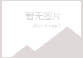 岐山县夜蓉咨询有限公司